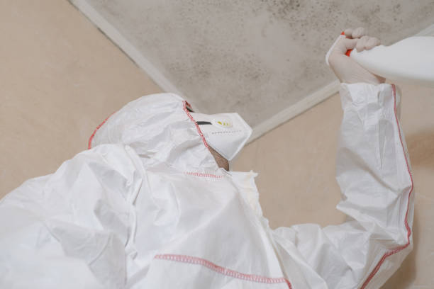 Best Residential Mold Removal  in Dike, IA